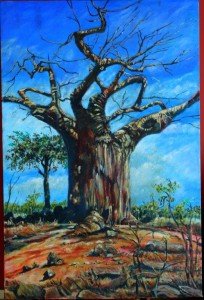 One of the commanding Baobab trees of northern Kruger. This painting by Stidy is available for sale. 42x60 stidy@sai.co.za